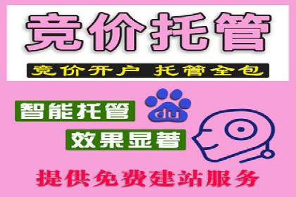 竞价推广公司的策略布局：某行业领导品牌的成功案例